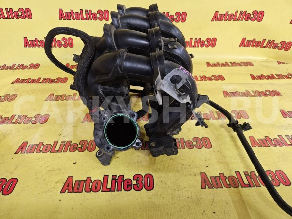 Коллектор впускной Ford Focus 