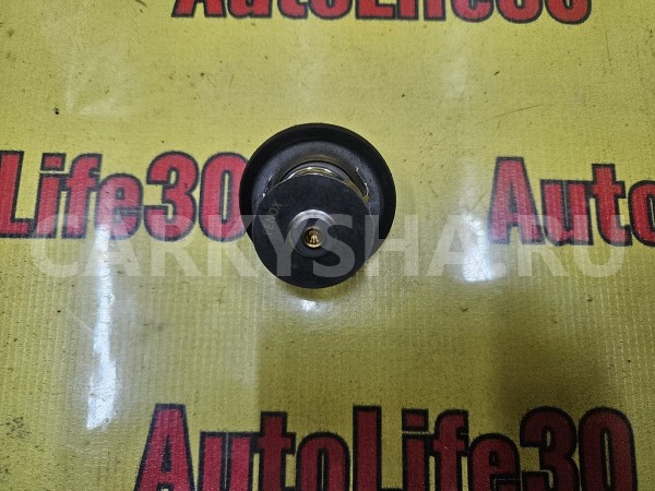 Термостат Ford Focus 