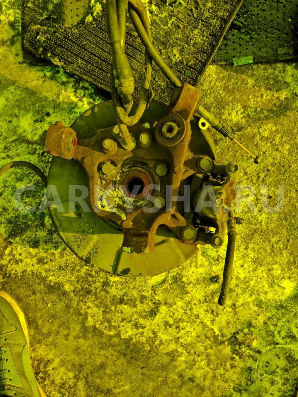 Ступица Nissan Elgrand 