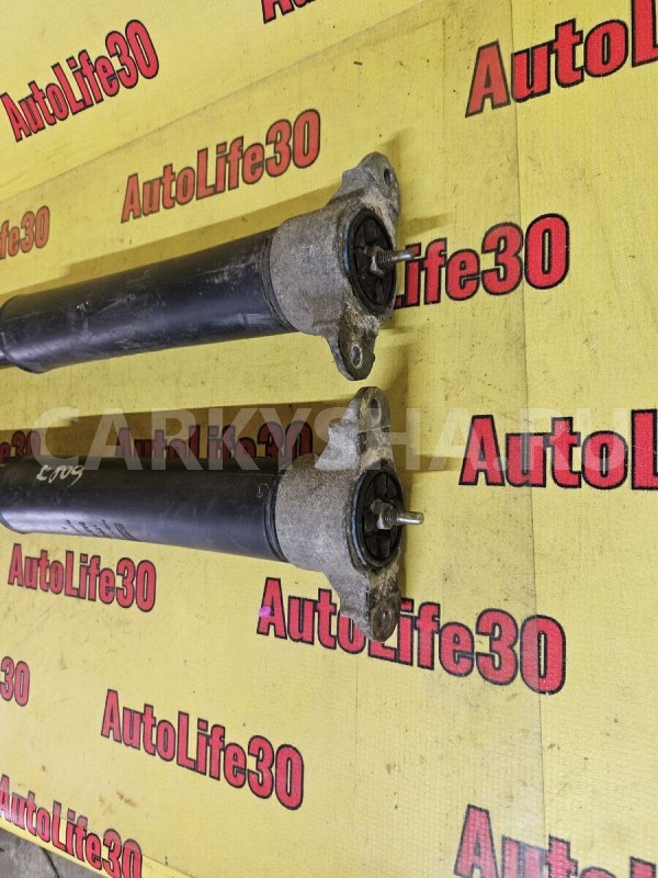 Амортизаторы задние к-кт Ford Focus 