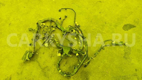 Коса двс Lexus RX 