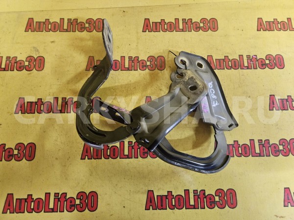 Петля капота Ford Focus 